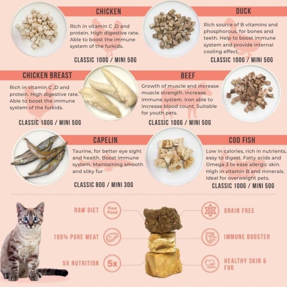 Amelisa Rawly Bites Mini Salmon Freeze Dried Treat - 50G