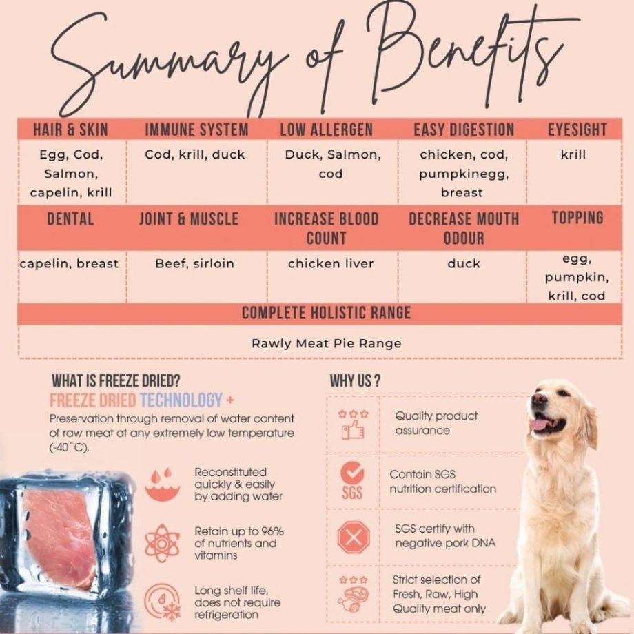 Amelisa Rawly Bites Mini Salmon Freeze Dried Treat - 50G